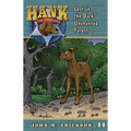 Lost in the Dark Unchanted Forest - Paperback