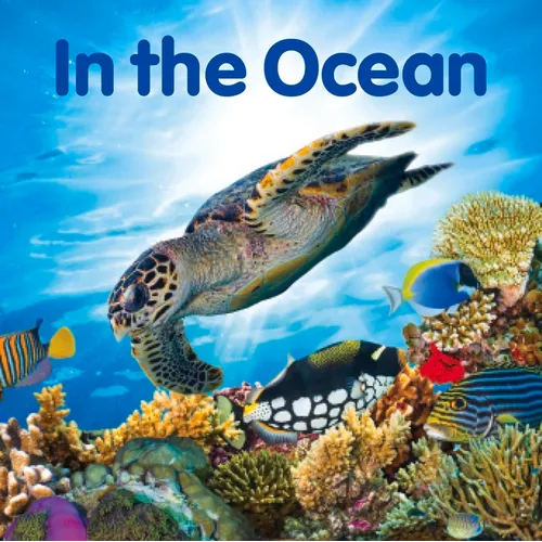 In the Ocean - Board Book