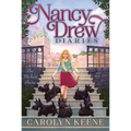 The Stolen Show - Paperback