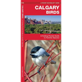 Calgary Birds: A Folding Pocket Guide to Familiar Species - Paperback