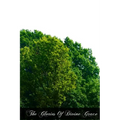 The Glories Of Divine Grace - Paperback