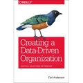 Creating a Data-Driven Organization: Practical Advice from the Trenches - Paperback