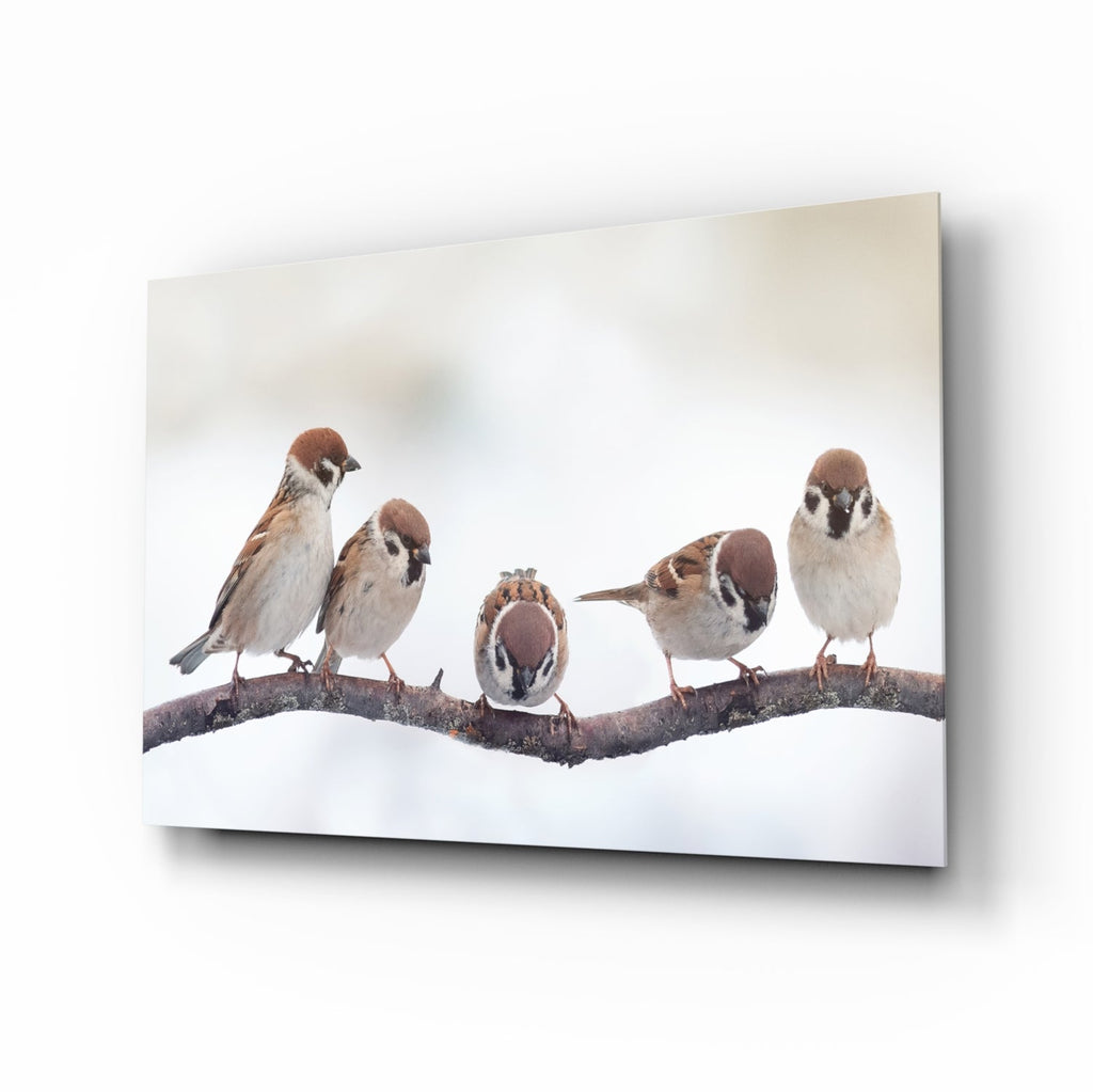 Birds Glass Wall Art