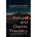 Natural and Cosmic Theodicy: A Trinitarian Panentheistic Vision - Paperback