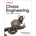 Chaos Engineering: System Resiliency in Practice - Paperback