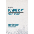Gentle Spirit; A Fantastic Story - Paperback