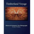 Timberland Voyage: Tree Abstract & Symmetry Art Photography - Paperback