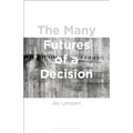 The Many Futures of a Decision - Paperback