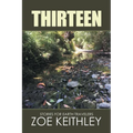 Thirteen: Stories for Earth Travelers - Paperback
