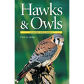 Hawks & Owls of Eastern North America - Paperback
