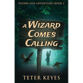 A Wizard Comes Calling - Paperback