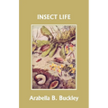 Insect Life (Yesterday's Classics) - Paperback