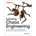 Learning Chaos Engineering: Discovering and Overcoming System Weaknesses Through Experimentation - Paperback