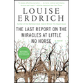 The Last Report on the Miracles at Little No Horse - Paperback