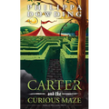 Carter and the Curious Maze: Weird Stories Gone Wrong - Paperback
