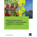 Promoting Local Currency Sustainable Finance in Asean+3 - Paperback