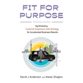 Fit for Purpose: Synthesizing Customer Experience with Strategy for Accelerated Business Results - Paperback