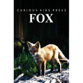 Fox: Amazing Facts about Fox Kids Picture Book - Paperback