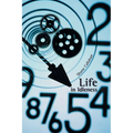Life in Idleness - Paperback