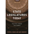 State Legislatures Today: Politics Under the Domes - Paperback