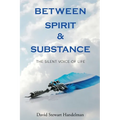 Between Spirit and Substance: The Silent Voice of Life - Paperback