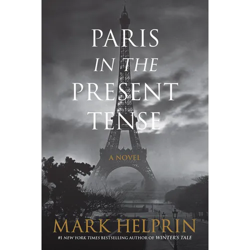 Paris in the Present Tense - Paperback