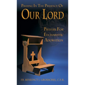 Praying in the Presence of Our Lord: Eucharistic Adoration - Paperback