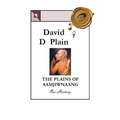 The Plains of Aamjiwnaang: Our History - Paperback
