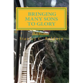 Bringing Many Sons to Glory: How Your Journey Will End - Paperback