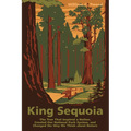 King Sequoia: The Tree That Inspired a Nation, Created Our National Park System, and Changed the Way We Think about Nature - Paperback