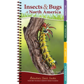 Insects & Bugs of North America: Your Way to Easily Identify Insects & Bugs - Spiral