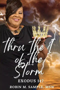 thru the I of the storm - Paperback