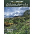 A Walk in an Irish Garden: For Flute and Piano - Paperback