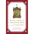 Qué Hace Y Qué Dice El Corazón de Jesús En El Sagrario - Paperback
