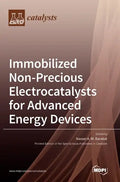 Immobilized Non-Precious Electrocatalysts for Advanced Energy Devices - Hardcover