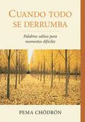 Cuando Todo Se Derrumba (When Things Fall Apart): Palabras Sabias Para Momentos Dificiles - Paperback