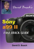 DAVID BUSCH'S Sony Alpha a99 II FAST TRACK GUIDE - Paperback