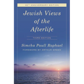 Jewish Views of the Afterlife - Paperback