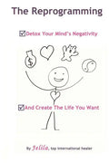 The Reprogramming: Detox your Mind's Negativity and Create the Life you Want - Paperback