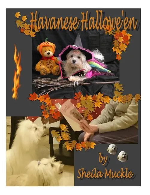 Havanese Hallowe'en - Paperback