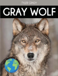Gray Wolf: Fascinating Animal Facts for Kids - Paperback