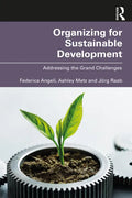 Organizing for Sustainable Development: Addressing the Grand Challenges - Paperback