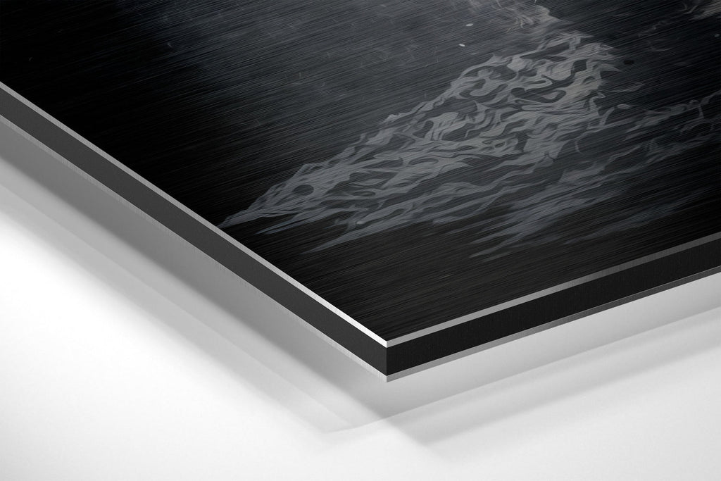 Astronaut  Brushed Aluminum Dibond Wall Art
