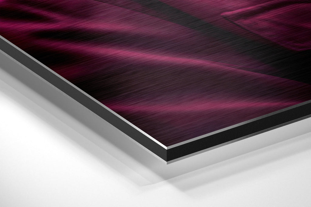 Cool Monkey Brushed Aluminum Dibond Wall Art