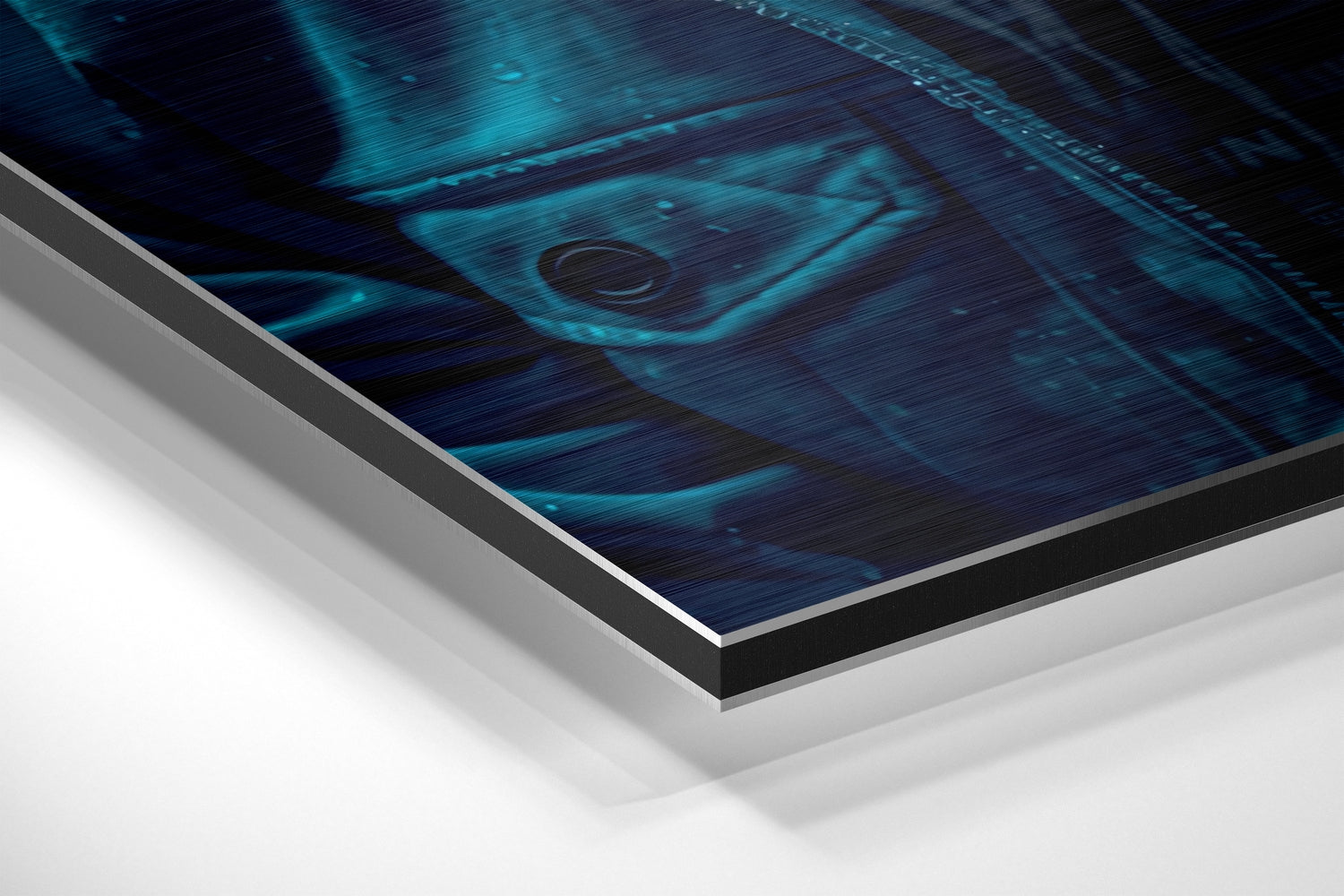 Age of Apes Brushed Aluminum Dibond Wall Art