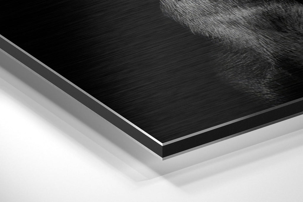 Dog and Gun Brushed Aluminum Dibond Wall Art