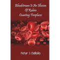 Bloodstream Is An Illusion Of Rubies Counting Fireplaces - Paperback