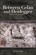 Between Celan and Heidegger - Hardcover