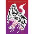The Astonishing Color of After - Paperback