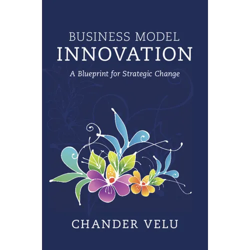 Business Model Innovation: A Blueprint for Strategic Change - Paperback